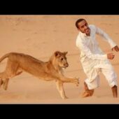 Arab memes(part 5) but they NEVER Disappoint 😂