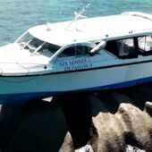 People Being Idiots | Try Not To Laugh